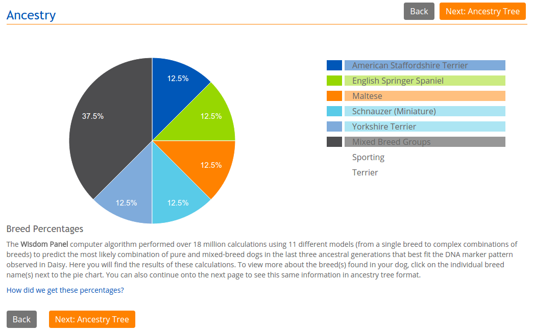 My Dna Pie Chart